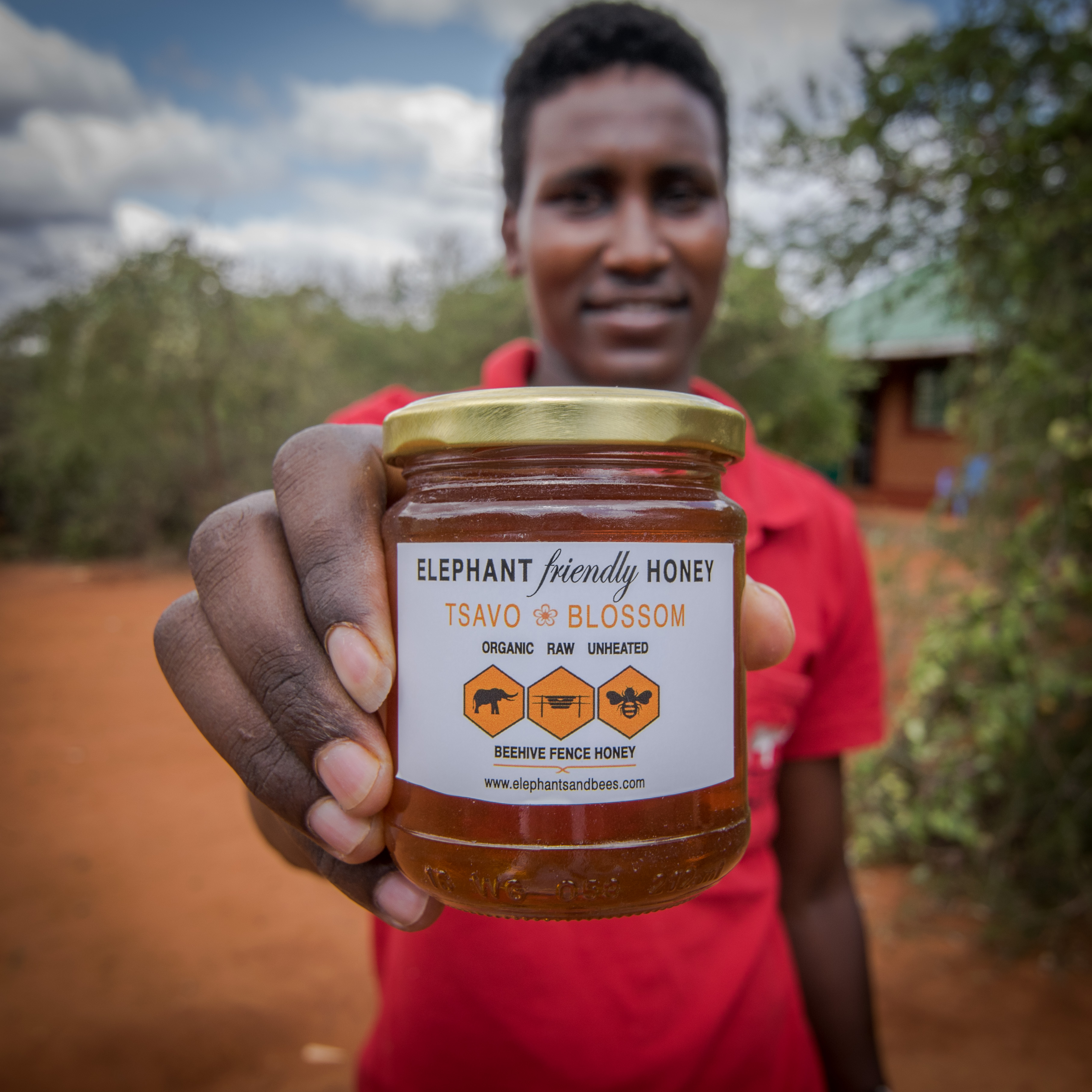 Elephant Friendly Honey a kenyai Tsavo térségéből. A méhkaptárkerítésekhez kapcsolódó méztermelés plusz bevételi forrást jelenthet a helyi gazdáknak. Fotó: Wynyard / Save the Elephants